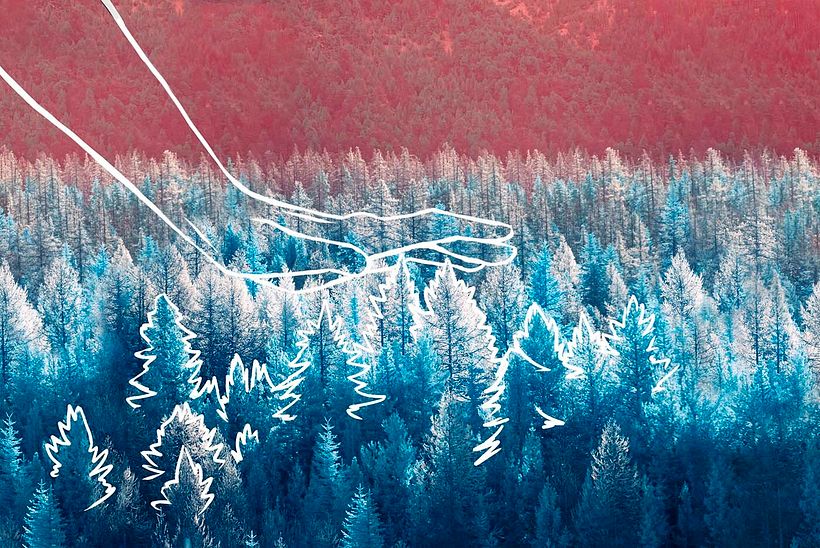 Sofidel 2021 Calendar 9