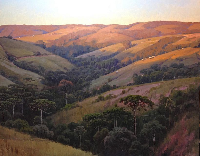 Vale das Araucárias