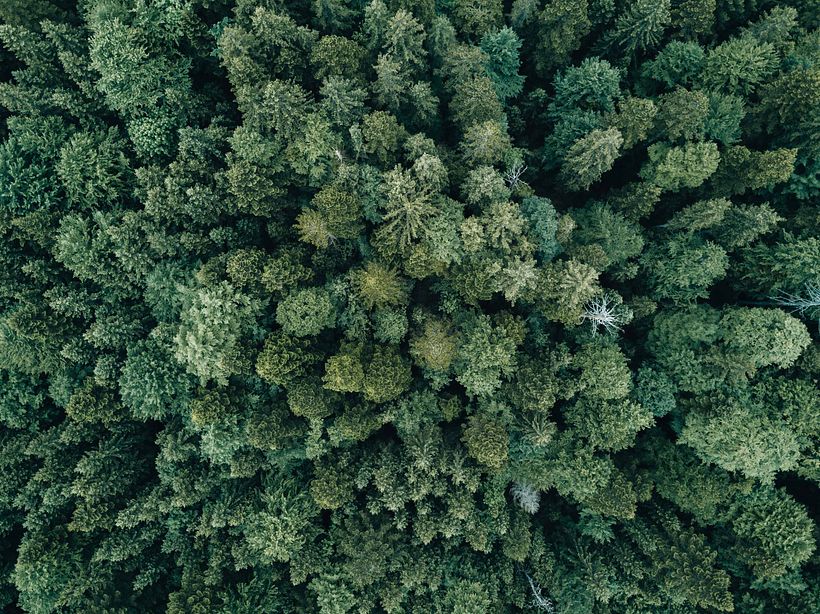 Lakeside Memories 12