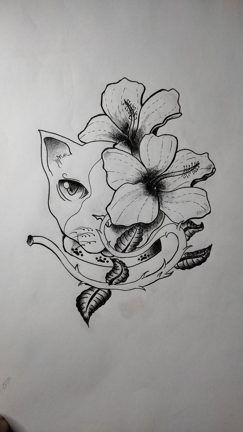 Primeiro portifólio 3