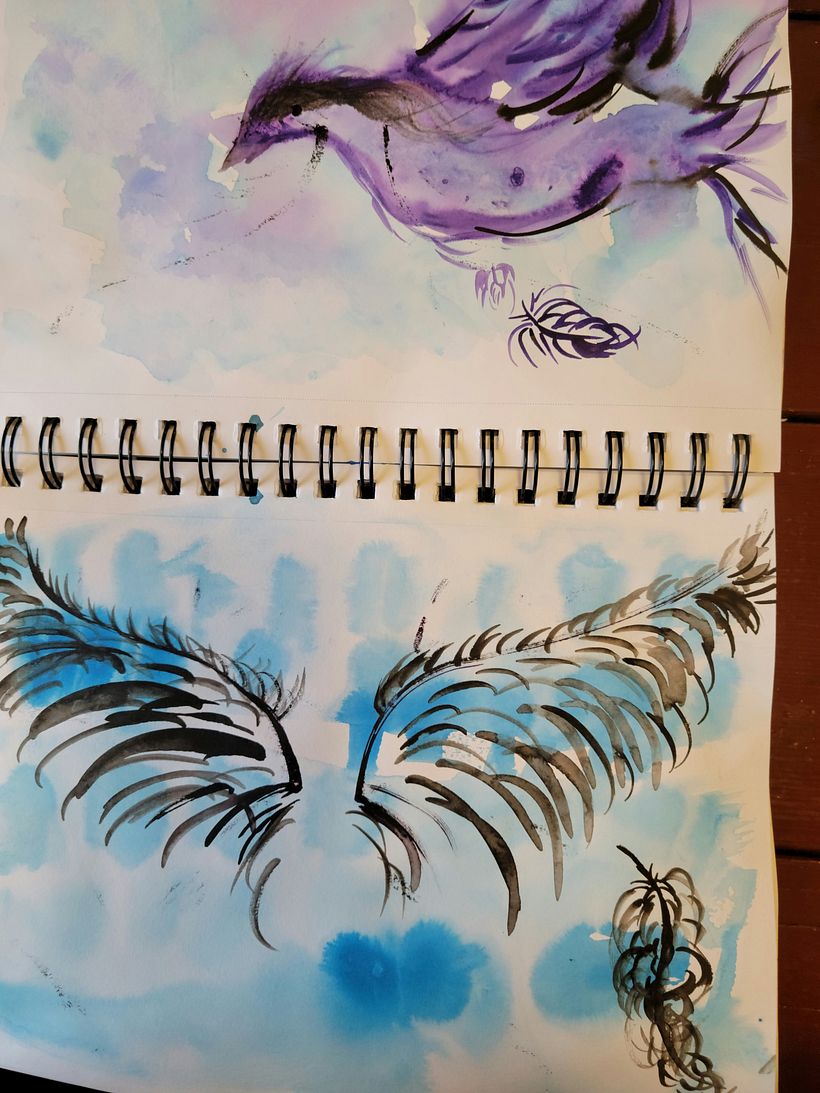 My project in Illustrating Nature: A Creative Exploration course 4