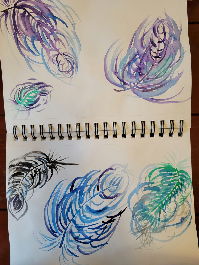My project in Illustrating Nature: A Creative Exploration course 6