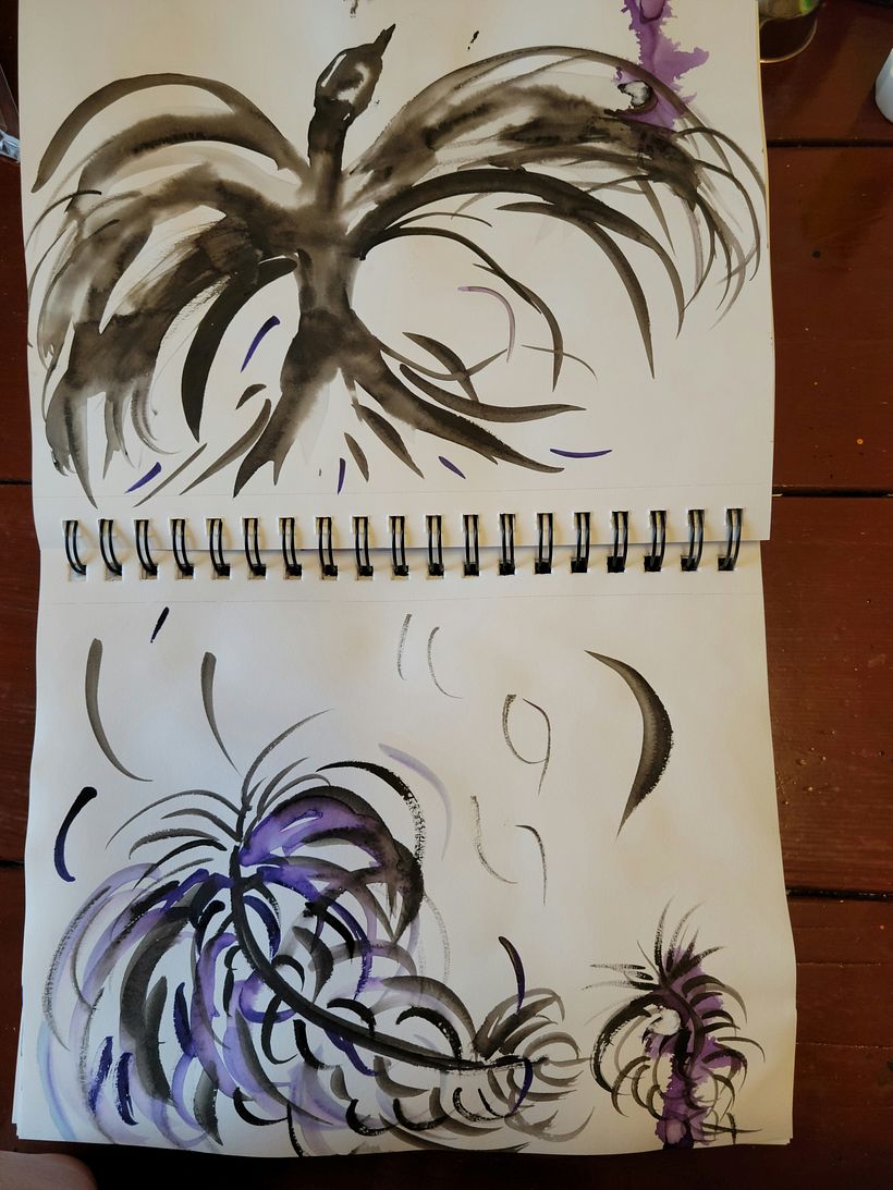 My project in Illustrating Nature: A Creative Exploration course 7