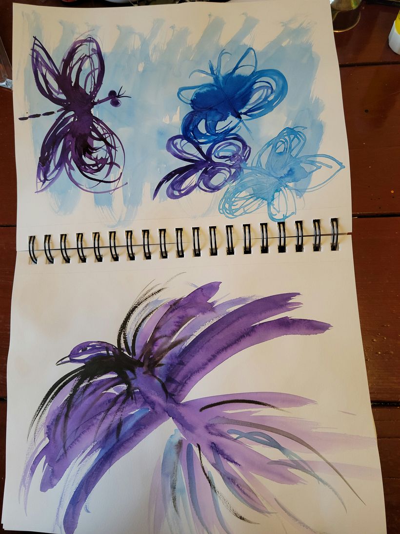 My project in Illustrating Nature: A Creative Exploration course 9