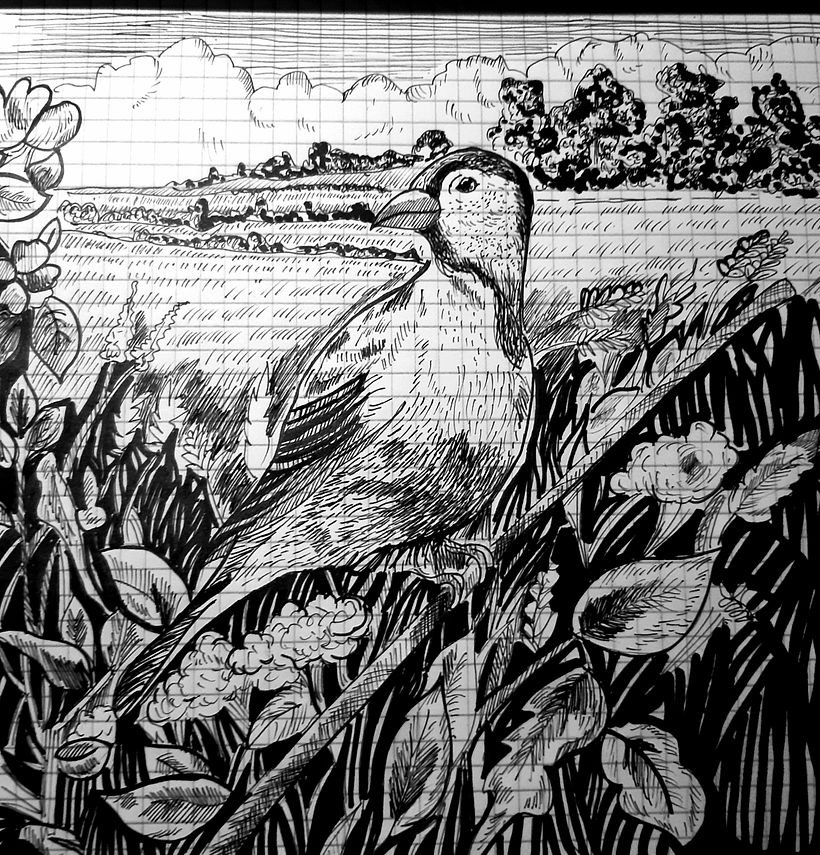 My project in Dip Pen and Ink Illustration: Capturing The Natural World course 3