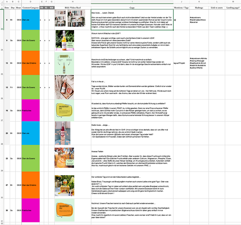 My project in Instagram Strategy for Business Growth course 13