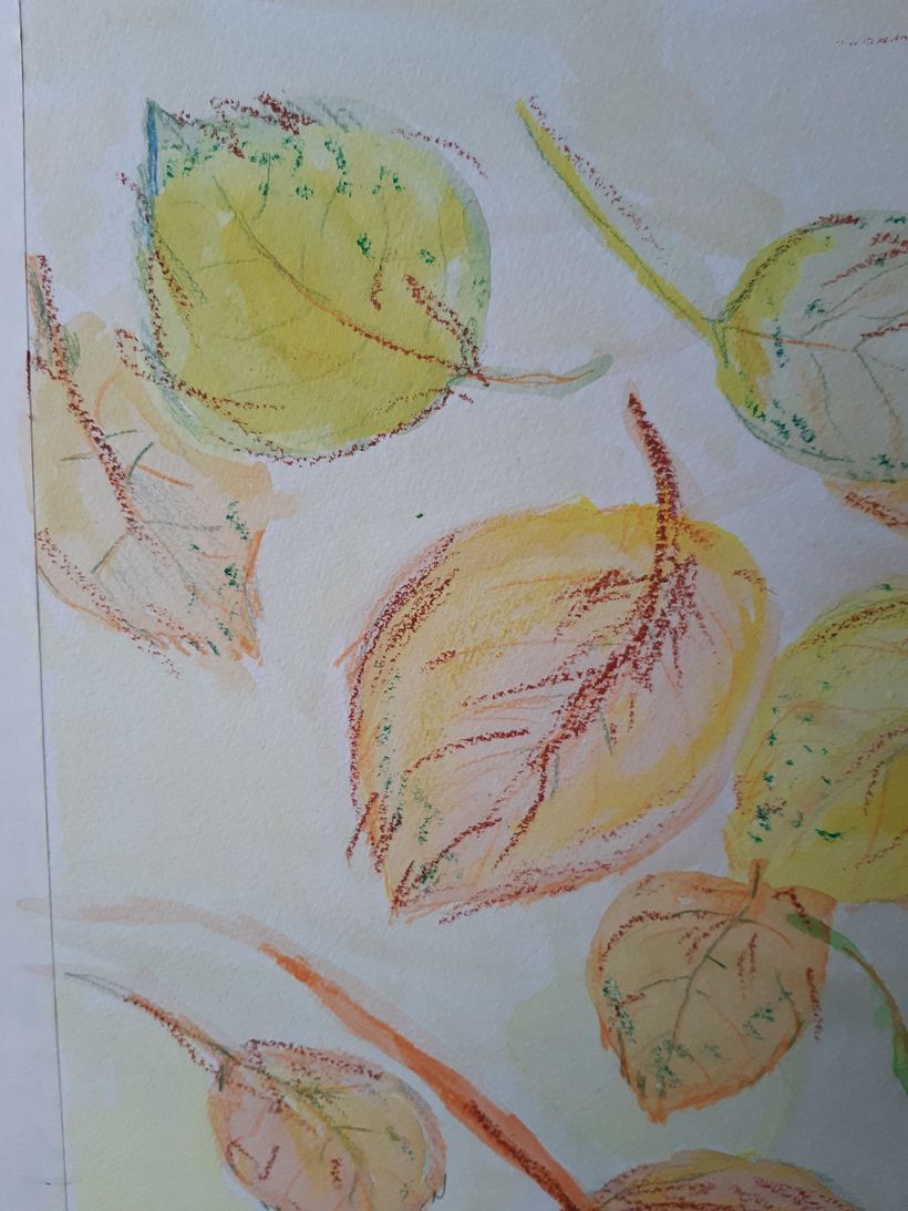 My project in Illustrating Nature: A Creative Exploration course 3
