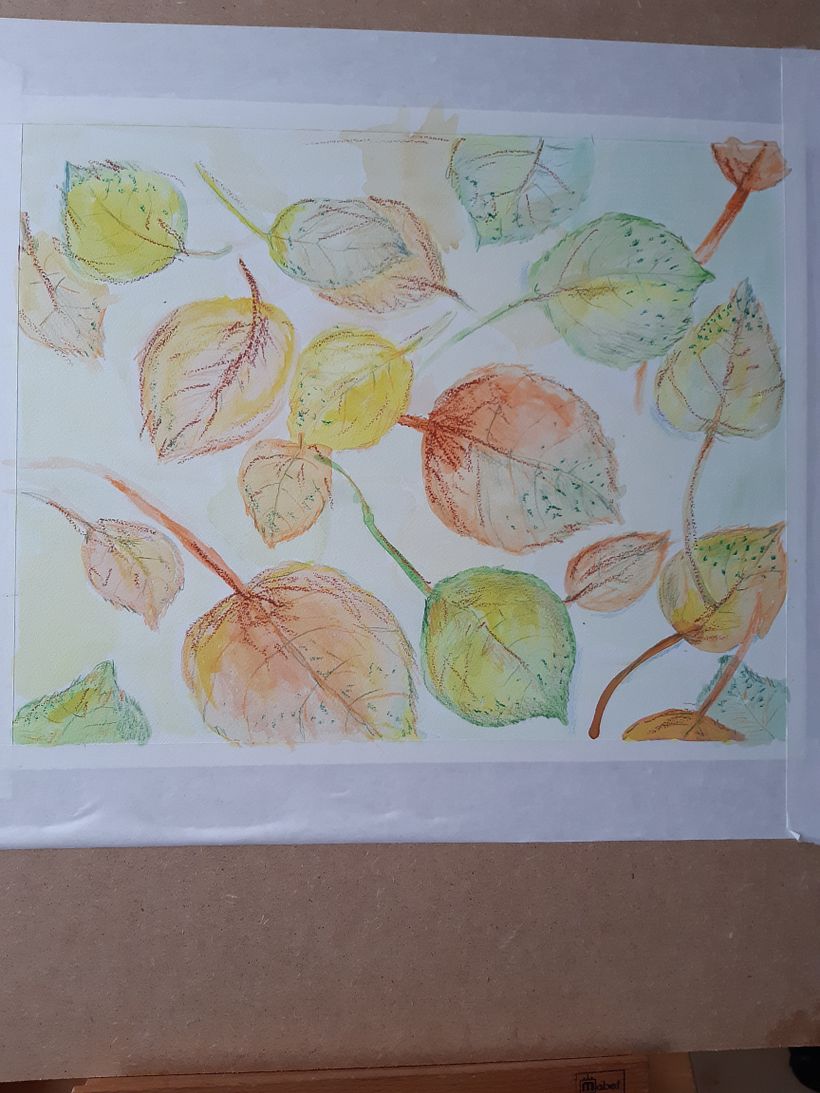 My project in Illustrating Nature: A Creative Exploration course 1