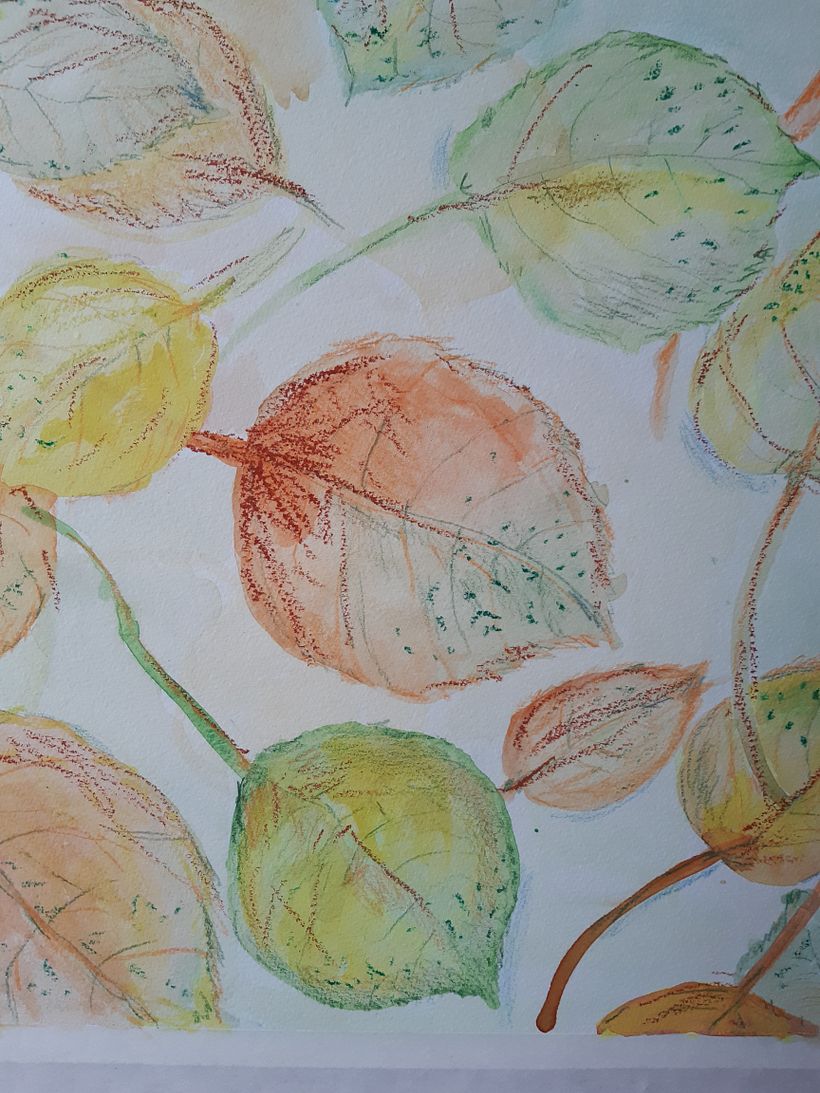 My project in Illustrating Nature: A Creative Exploration course 2