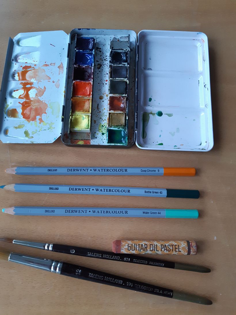 My project in Illustrating Nature: A Creative Exploration course 5