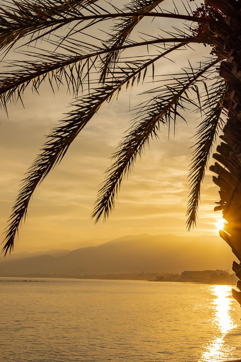 My project in Color Theory in Photography course 5