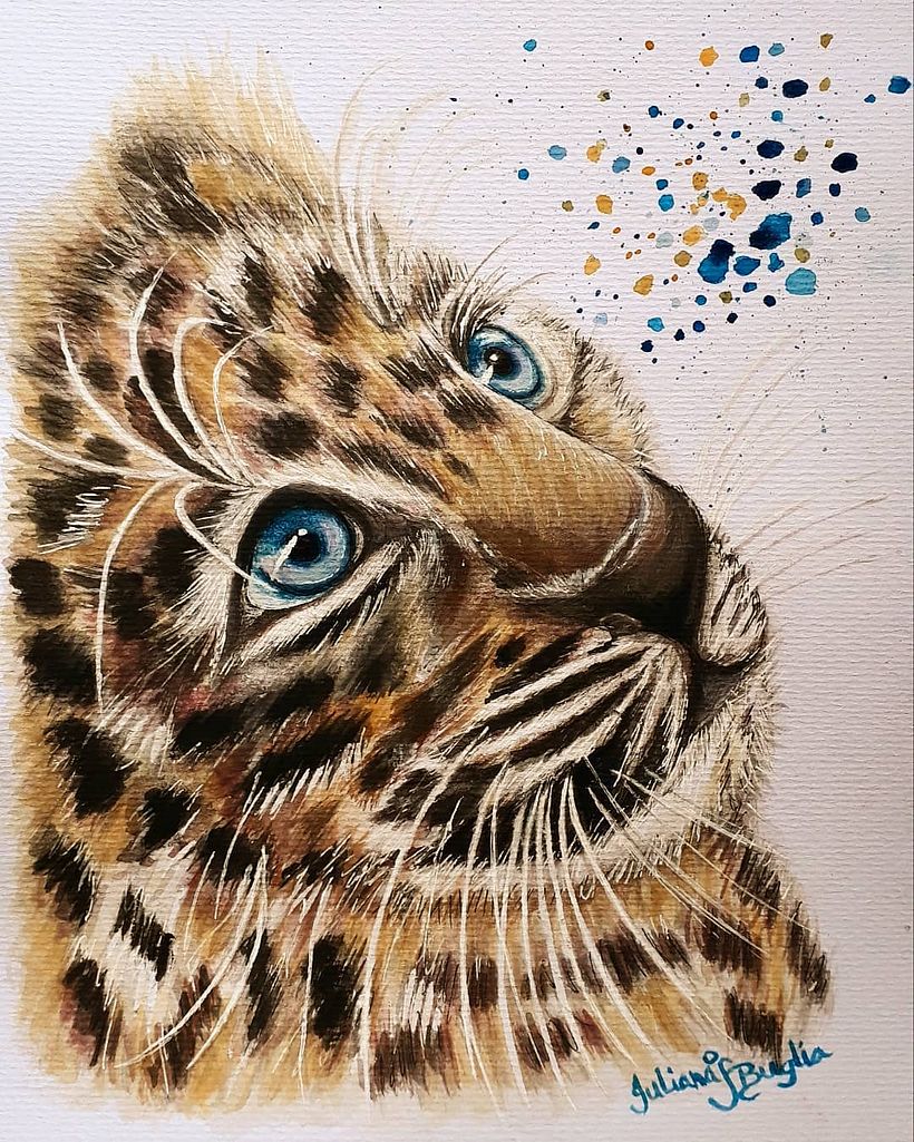 Baby leopard