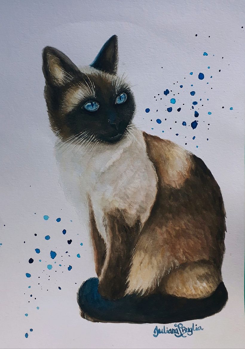 Siamese Cat Project with 4 colours in Watercolour