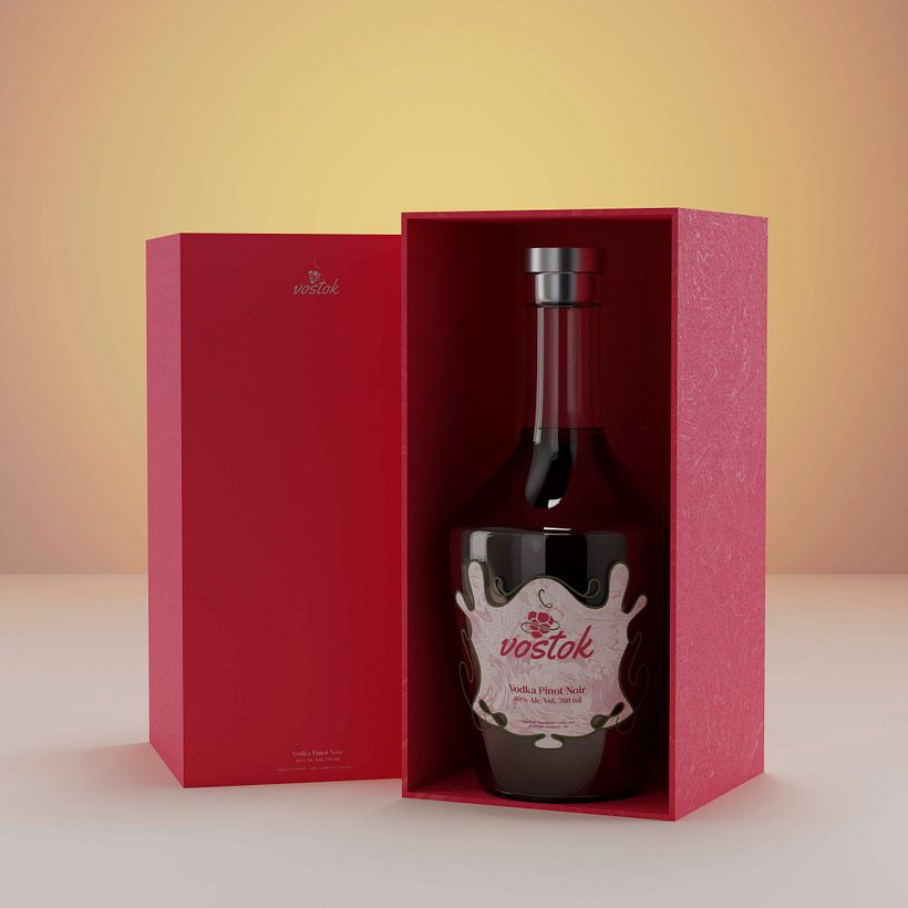 Proyecto Packaging: Vostok 2