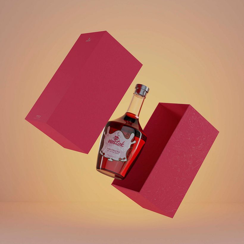 Proyecto Packaging: Vostok 2