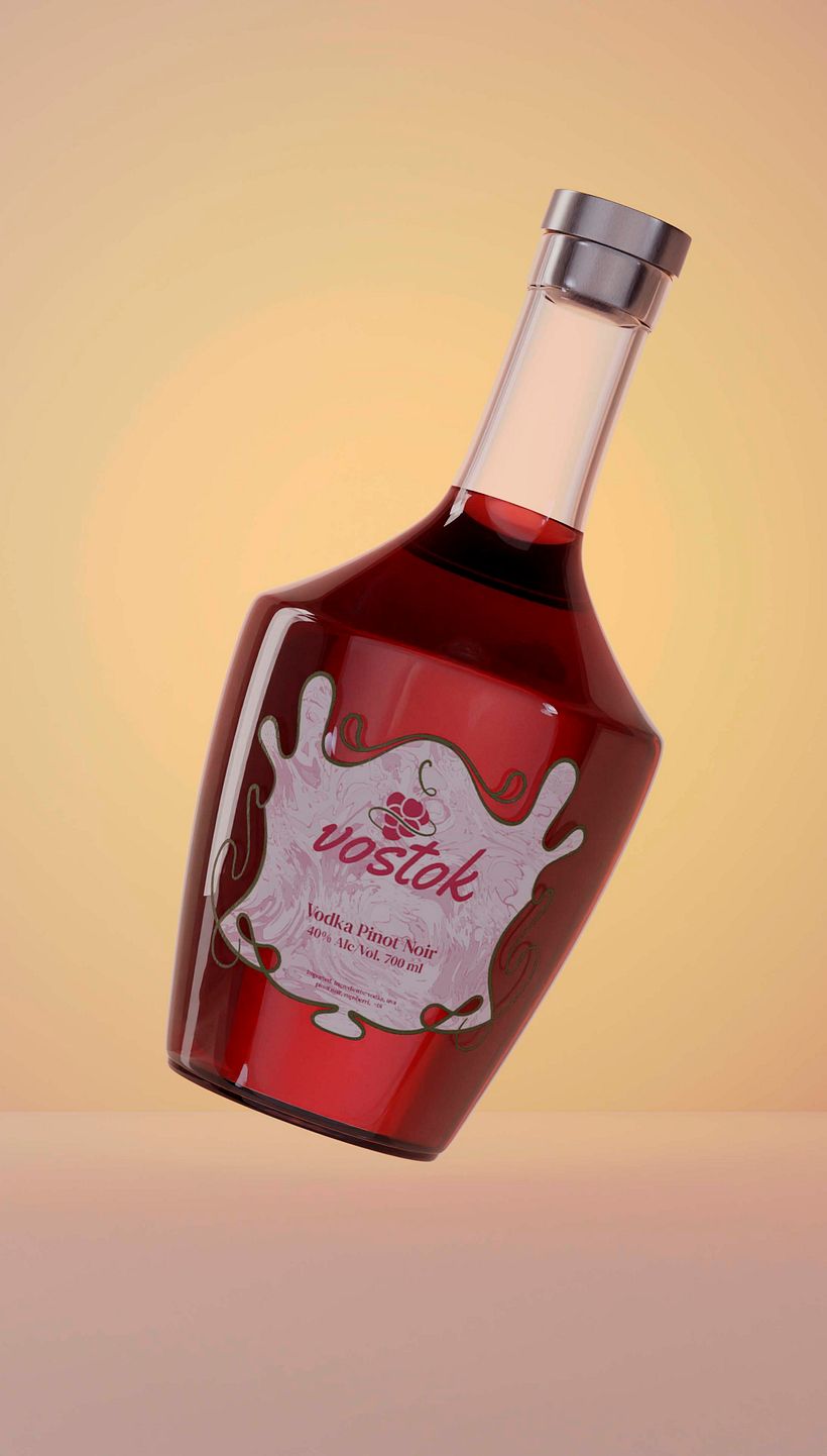 Proyecto Packaging: Vostok 3