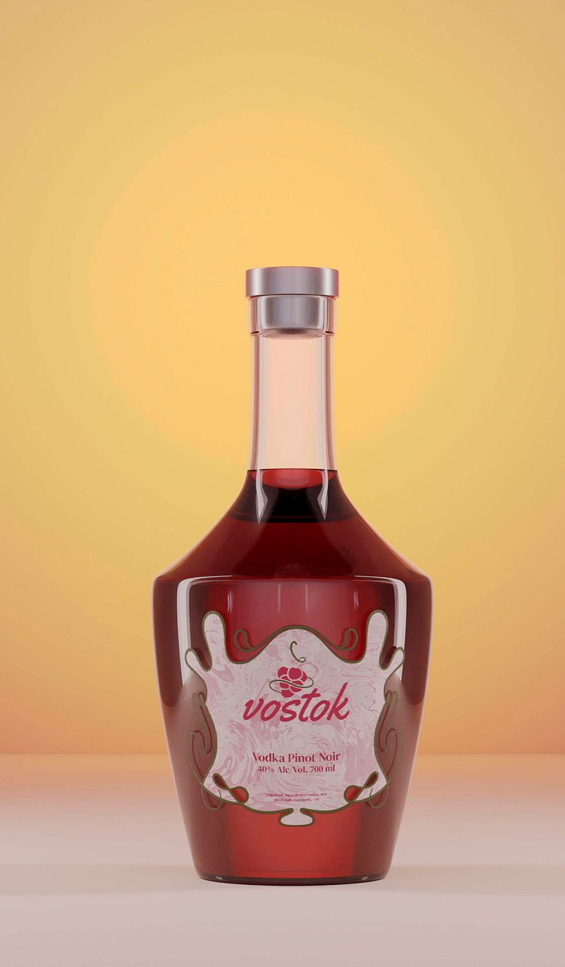 Proyecto Packaging: Vostok 4