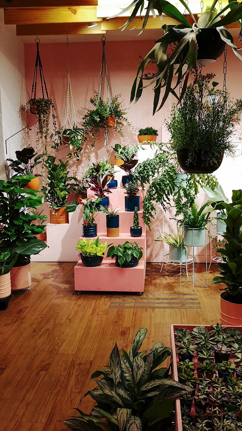 Urban Jungle Bloggers - events 2