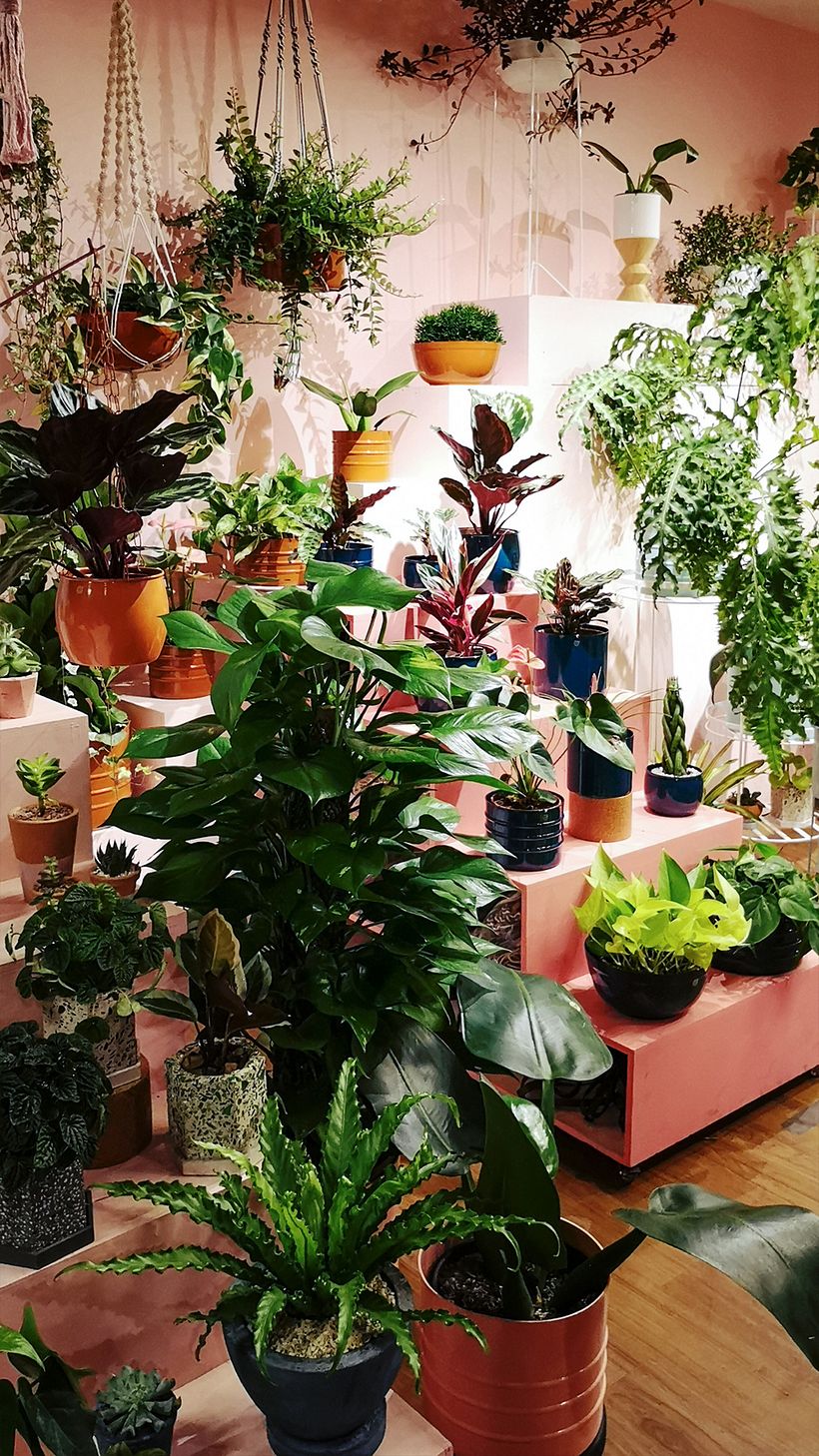 Urban Jungle Bloggers - events 4