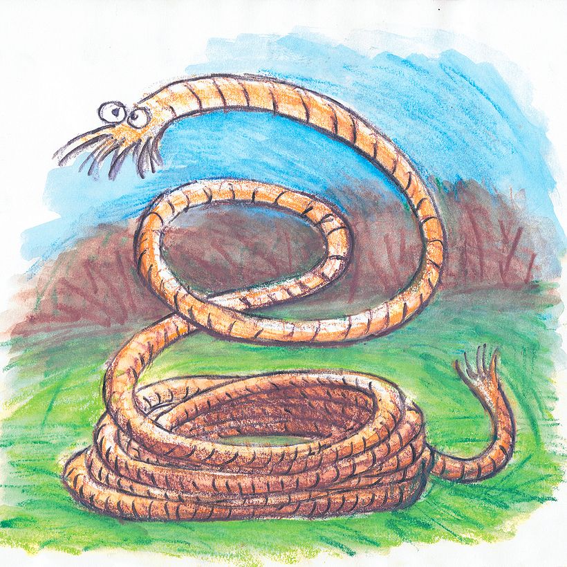 First Children's Book 4