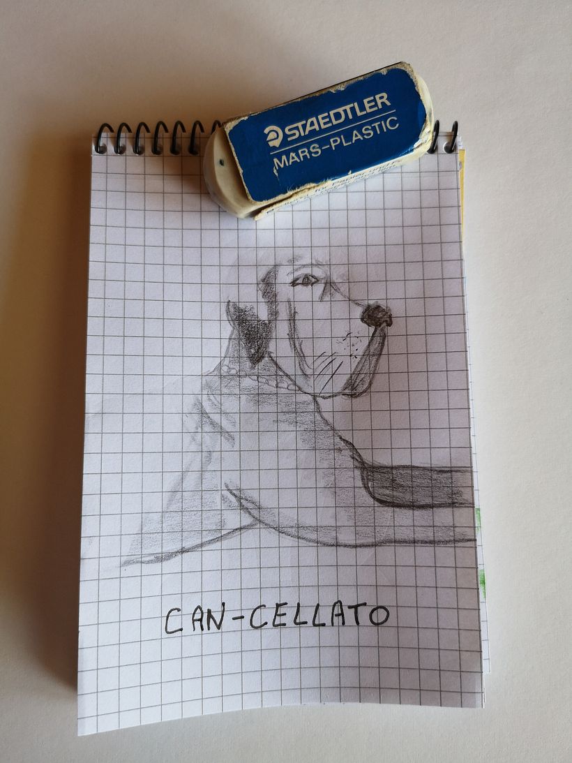 Il mio progetto del corso: Ritratto creativo in chiaroscuro con matita 8