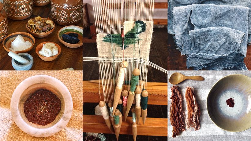 Los pigmentos de origen vegetal son partes de plantas.