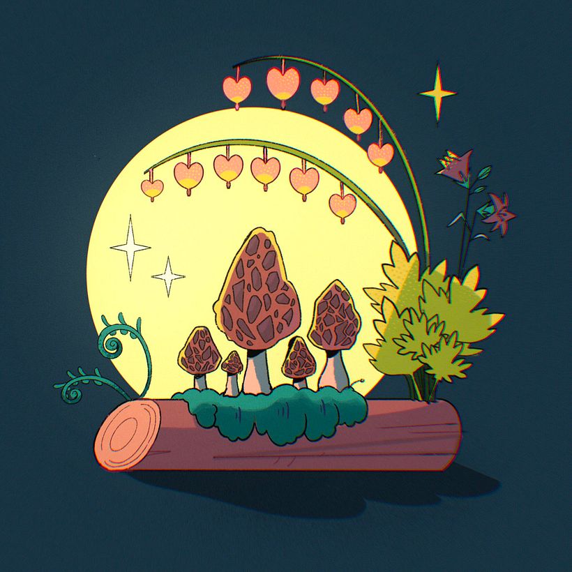 Morels, dicentra and a bell flower watching the full moon. 