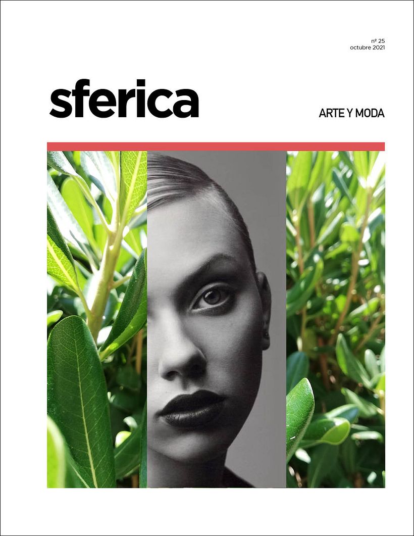 Mi Proyecto del curso: Diseño y construcción de una revista 1