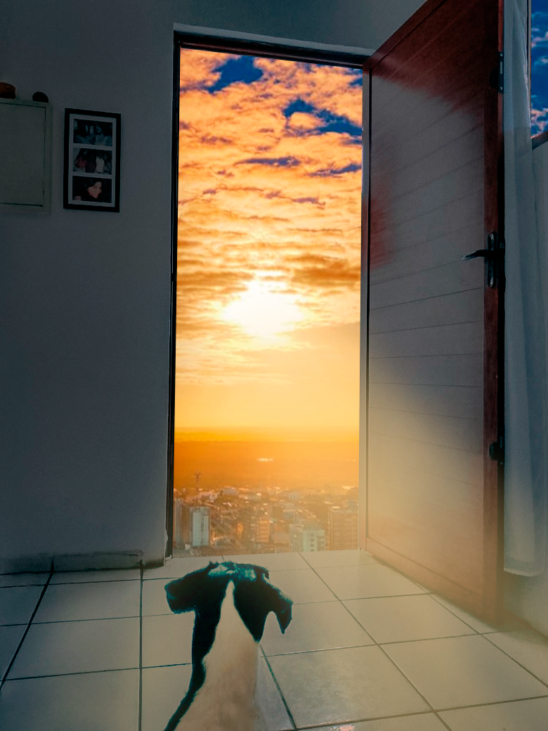 Colagens e Pessoas - Fotografía