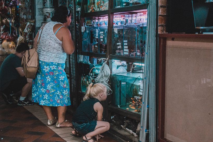 Colagens e Pessoas - Fotografía