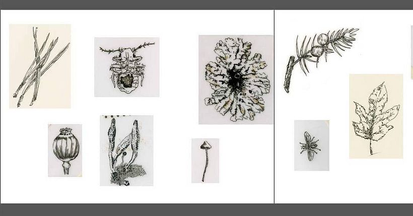 Sketchbook other  12