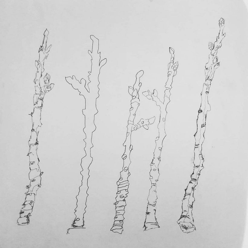 Sketchbook other  13