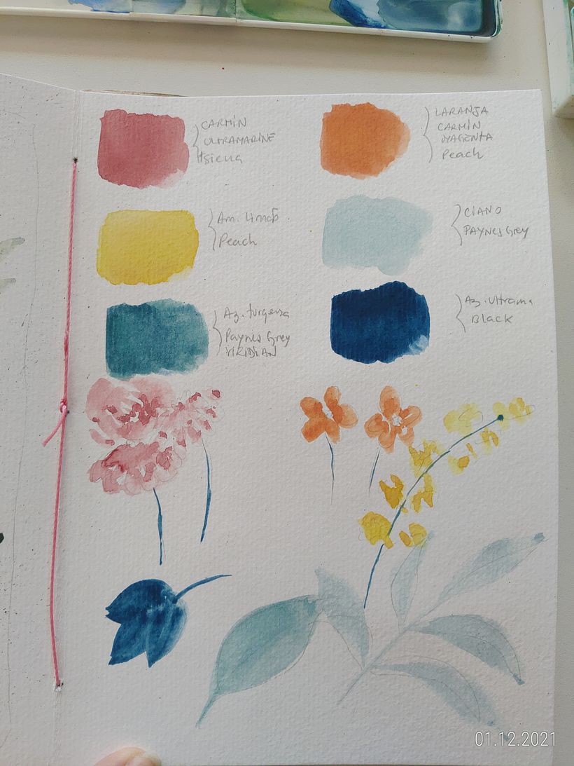Paleta de cores e esboço.