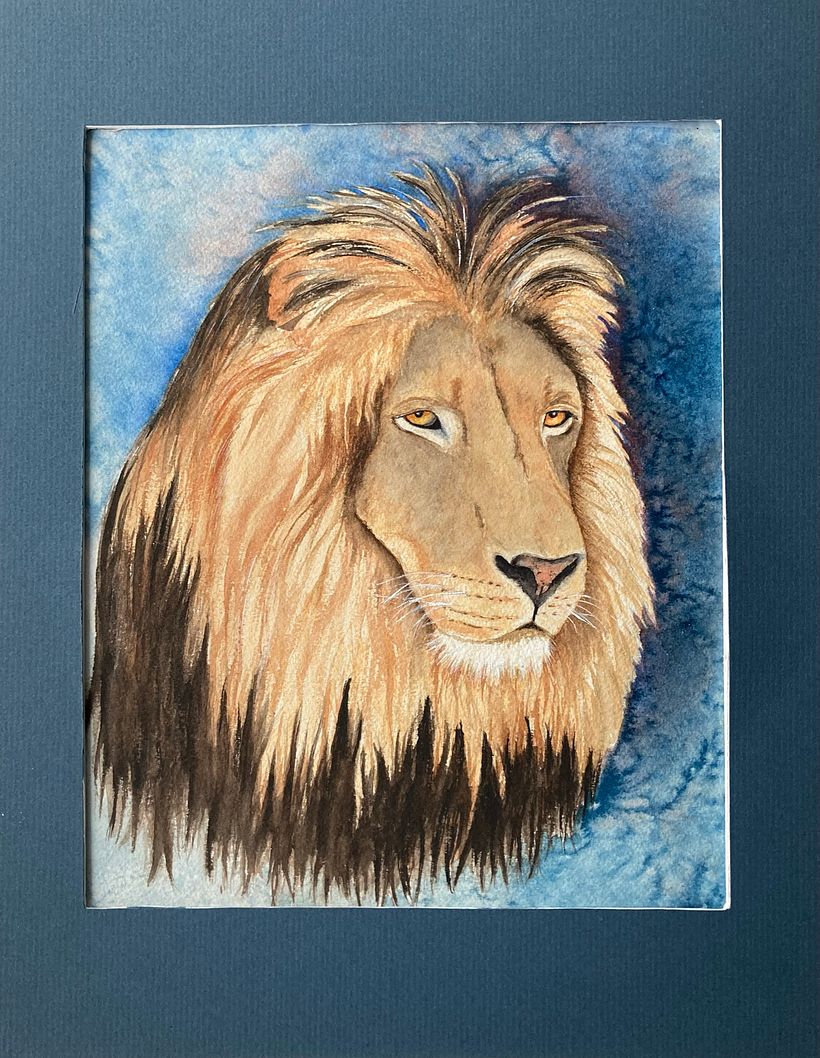 Lion 1