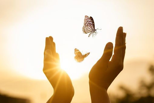 Transformacion