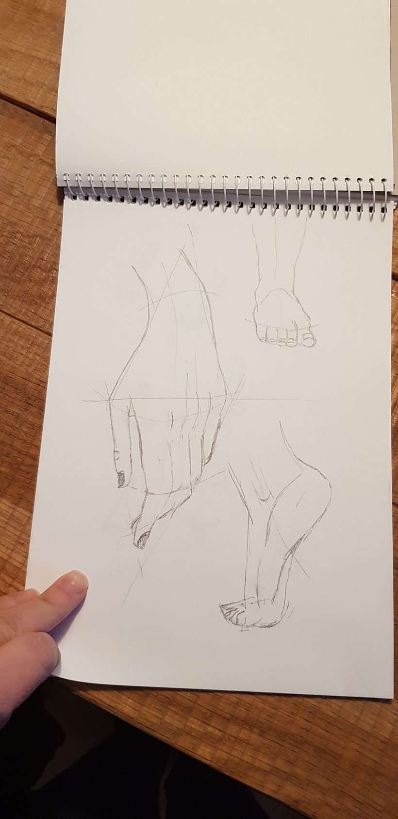 Fingersandtoes