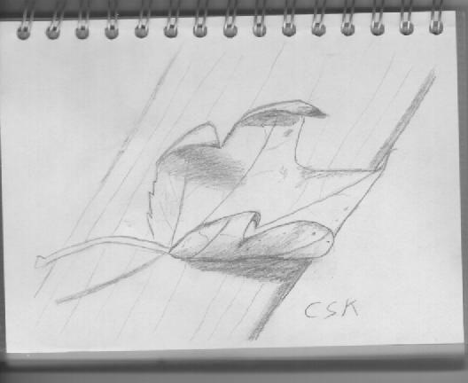 My Drawings 1
