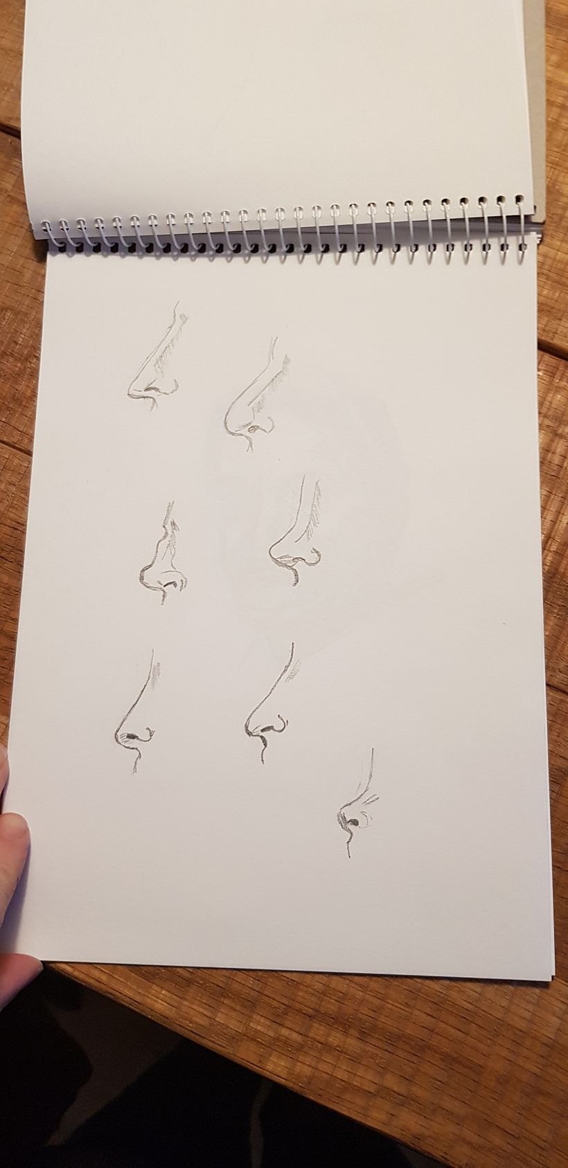 Noses