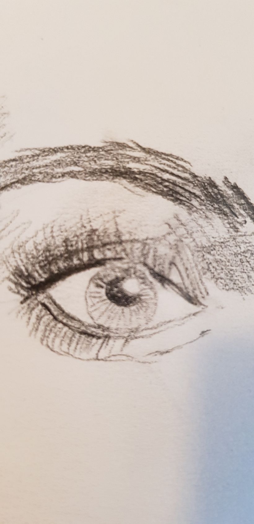 Eye