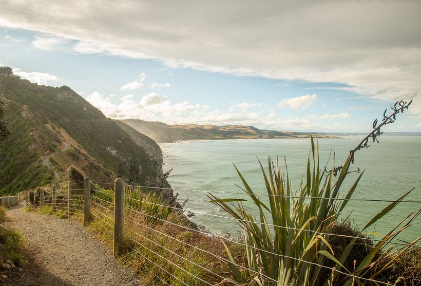 New Zealand Trip 17