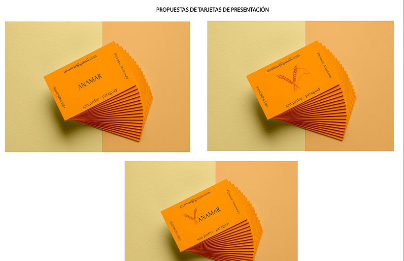 Mi Proyecto del curso: Principios de conceptualización y branding 7
