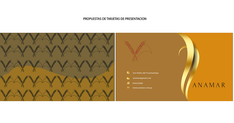 Mi Proyecto del curso: Principios de conceptualización y branding 8