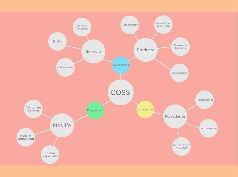My project in Development of a Digital Media Plan course 2