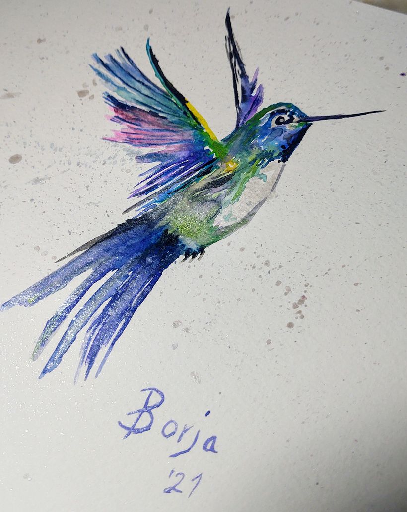 colibrí técnica acuarela