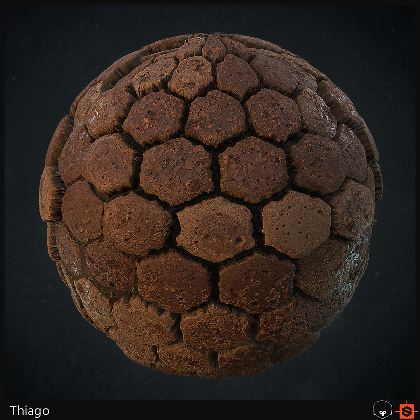 Meu projeto do curso: Introdução à criação de texturas com o Substance Designer 1