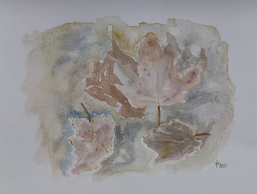 Il mio progetto del corso: Creazione di palette di colore con acquerello 8