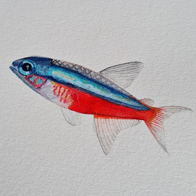 Watercolor paintings 1
