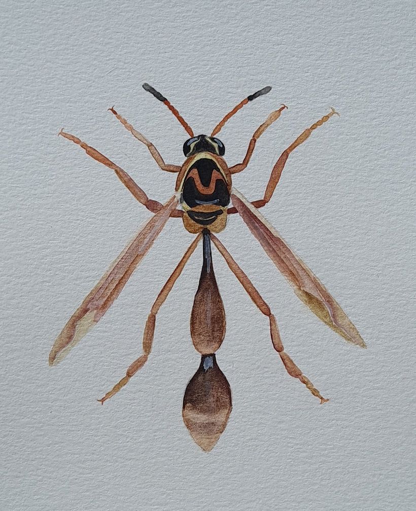 Watercolor paintings 3