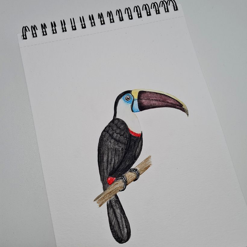 Watercolor paintings 4