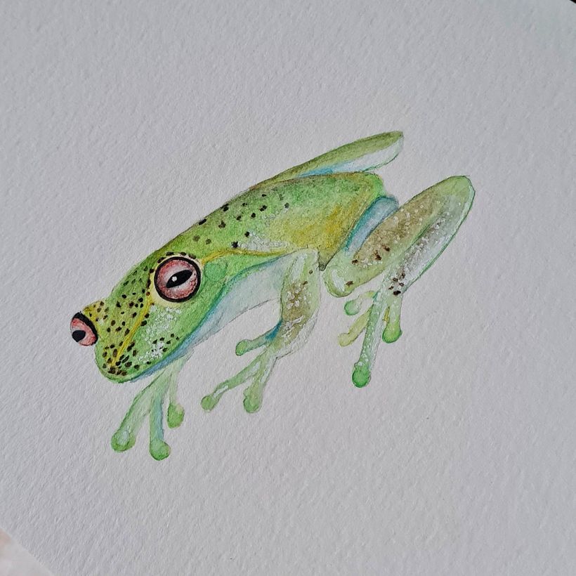 Watercolor paintings 6